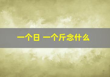 一个日 一个斤念什么